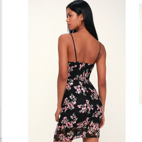 Lulu's Lace Embroidered Bodycon Dress compared to Madewell Sz XS - Picture 2 of 8